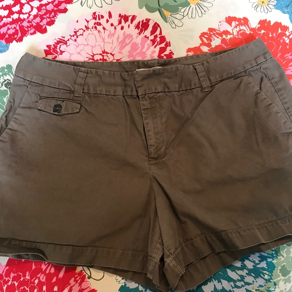 Loft Shorts- Size 12